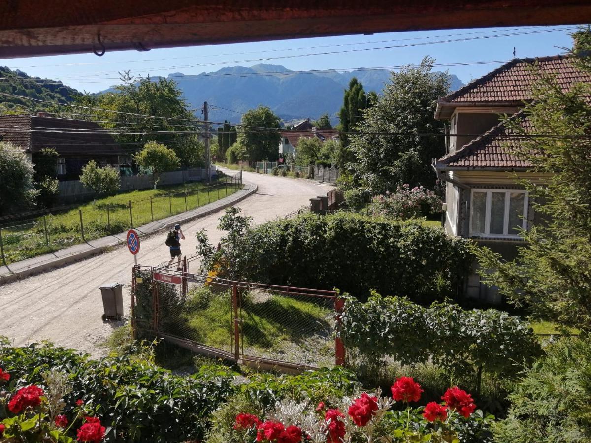 Vila Ovi Bran (Brasov) Exterior foto